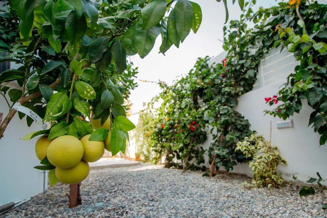 Island Home Seaside Villa Παραλίμνι Εξωτερικό φωτογραφία